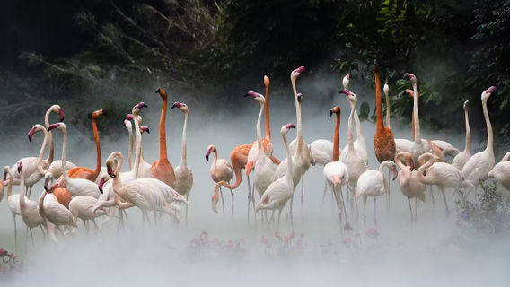 GuangzhouExperiences