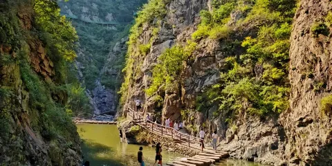 山東日照九仙山風景區+星島桃花島+情侶峰+萬平口海濱風景區一日遊可中英文服務