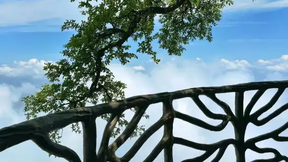 張家界天門山-天門索道-張家界國家森林公園日遊