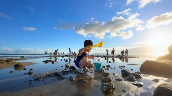 北海潿洲島出海|紅樹林趣味趕海/精緻小團趕海/豪華趕海+趕海用具【親子互動超體驗】