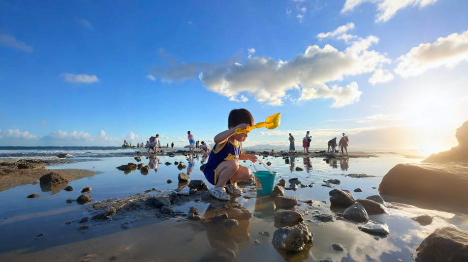 北海潿洲島出海|紅樹林趣味趕海/精緻小團趕海/豪華趕海+趕海用具【親子互動超體驗】