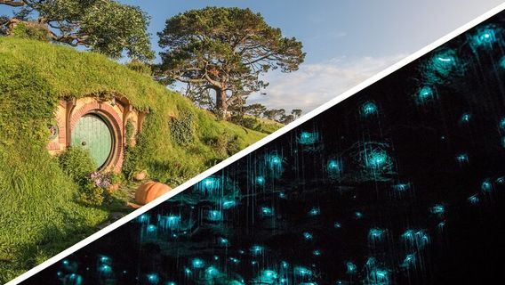 AucklandTours