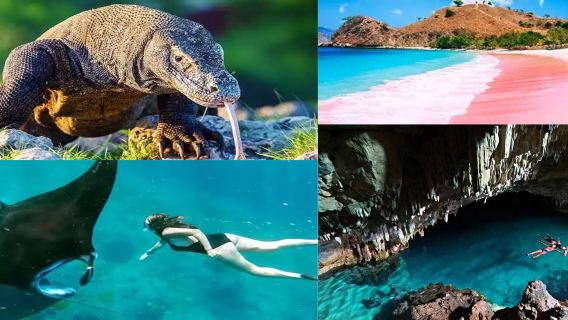 2 días de aventura para explorar el dragón de Komodo endémico, hacer snorkel, visitar cascadas, la cueva de Rangko y Labuan Bajo