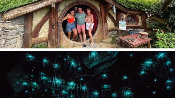Waitomo CavesTours