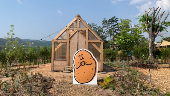 강원도 춘천 외국인 택시 3시간 운행 노선