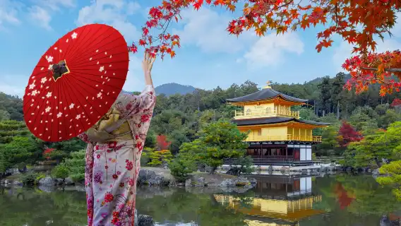 Kyoto Autumn Foliage Special: Minoh Falls, Sagano Romantic Train, Arashiyama Bamboo Forest, Nonomiya Shrine, Togetsukyo Bridge & Kinkakuji Temple One Day Tour (From Osaka)