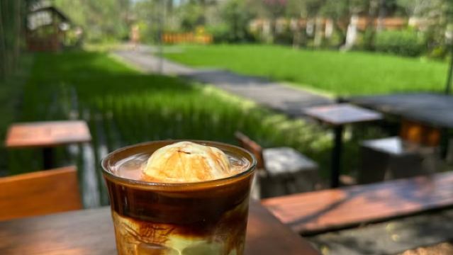 峇里島烏布秋千+ALAS梯田+泳池【送網紅咖啡+中文導遊】