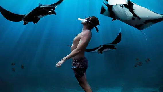 5-hour diving and snorkeling experience at Snorkeling at Nusa Penida + Manta Point Beach in Bali, Indonesia [Snorkeling and West Tour]