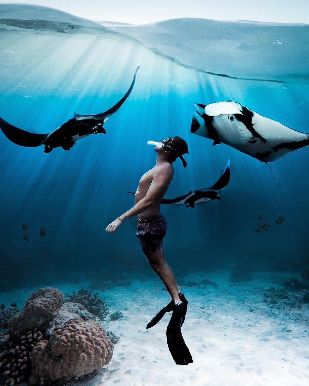 Esperienza di immersione subacquea e snorkeling a Bali, Indonesia: Snorkeling a Nusa Penida + Manta Point Beach per 5 ore [Tour di snorkeling e della parte occidentale]