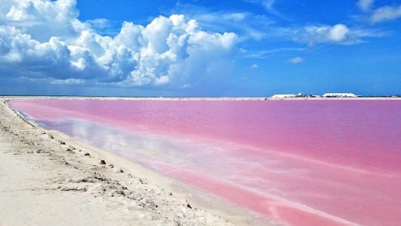 Cancun, Mexico: The Coloradas Tour (Includes Light Lunch/Group Tour/Booking Available for 1 Person)