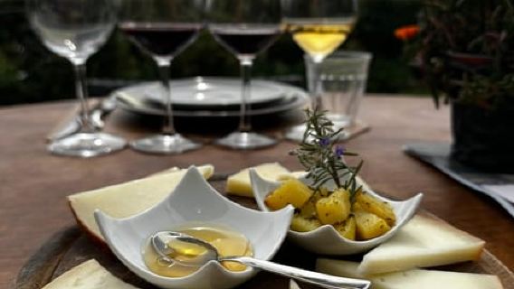 San Gimignano: degustazione di vino, olio, formaggio e aceto balsamico