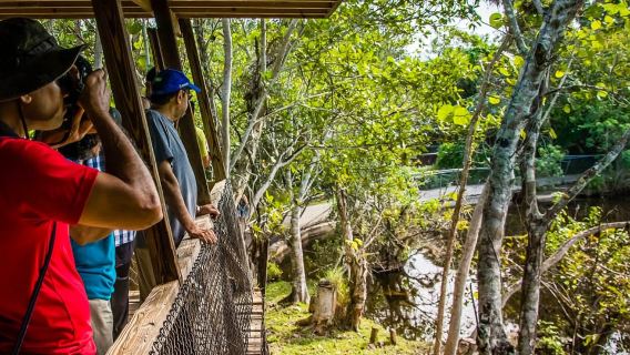 Miami: Tour tham quan bằng thuyền máy tại Công viên Everglades Safari