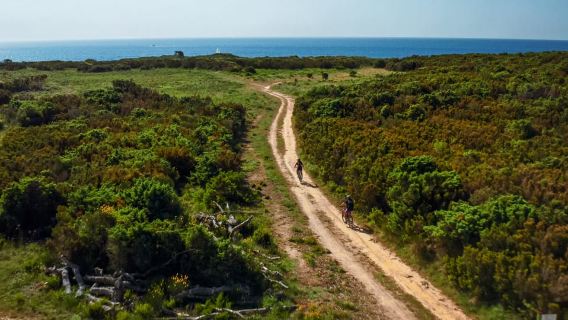 Premantura : visite en scooter électrique tout-terrain du Cap Kamenjak