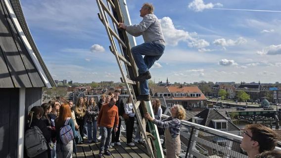 Haarlem: tour guidato del mulino a vento 'De Adriaan'