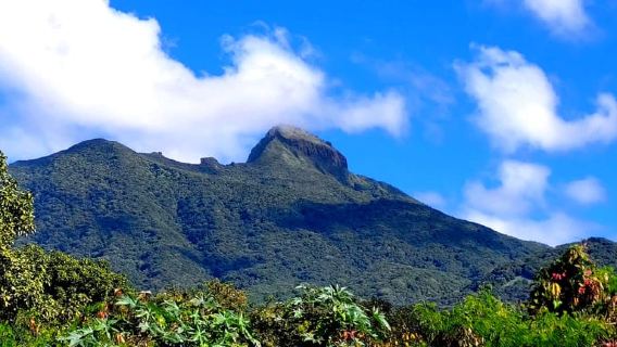 Excursión en San Cristóbal: El pico más alto, el volcán Monte Liamuiga