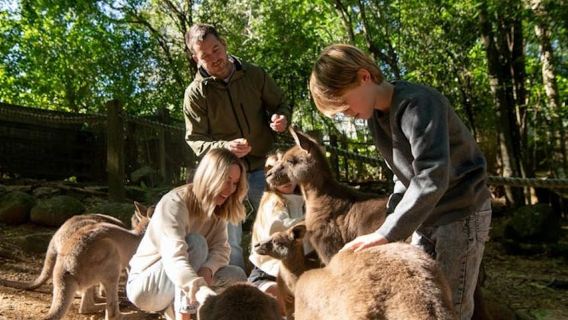 Byron Bay Wildlife Sanctuary Entry Ticket