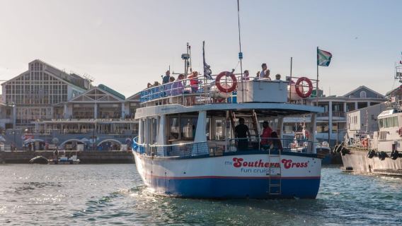 Cape Town: Du thuyền 30 phút trên bến cảng và ngắm hải cẩu