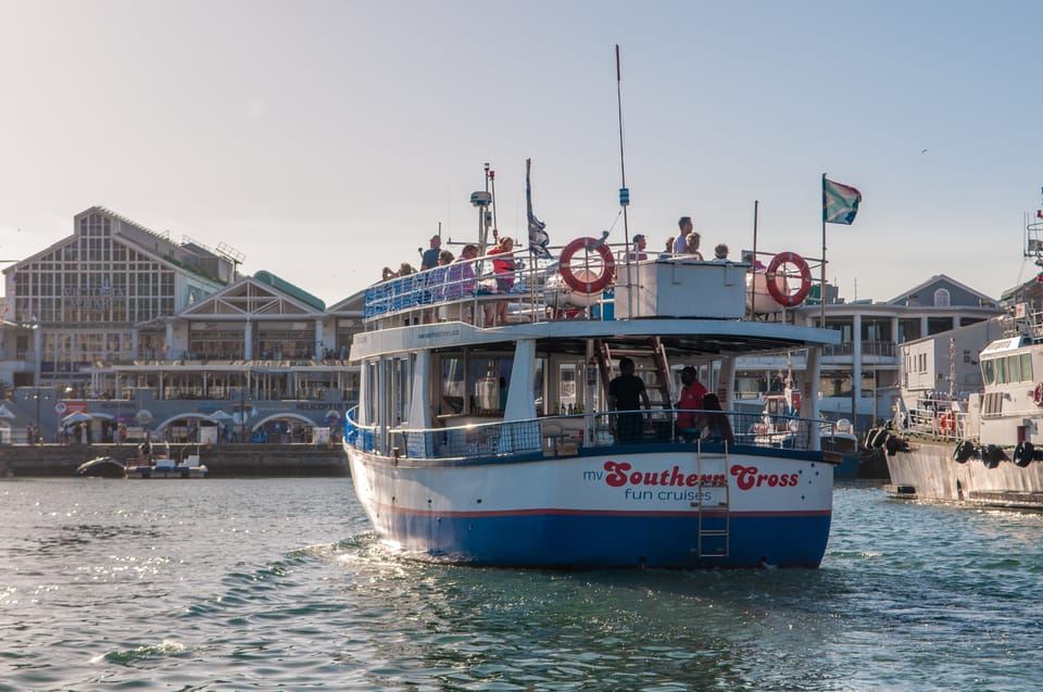 Cape Town: 30 Minute Harbour Boat Cruise with Seal Watching