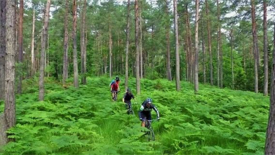 Liubliana: recorrido en bicicleta de montaña por el centro de la ciudad y los senderos de Golovec