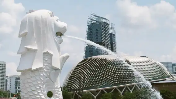 諮詢後下單/新加坡濱海灣花園植物園環球影城動物園克拉碼頭/機場/點對點用車/旅遊旅行司導/專車服務
