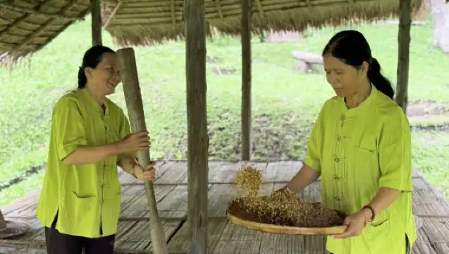 梅沙山谷農場住宿度假村 - 有機農場沉浸體驗 半日/全日農場生活探索