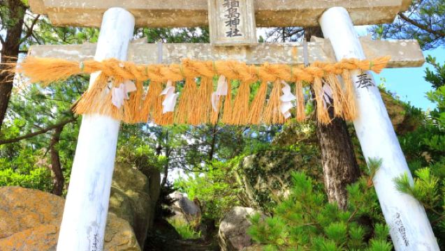 Departing from Fukuoka | 1-day tour to Shikanoshima Island, Shiraito Falls, Raizansennyoji Taihioin, Sakurai Futamigaura, and Totoro Forest