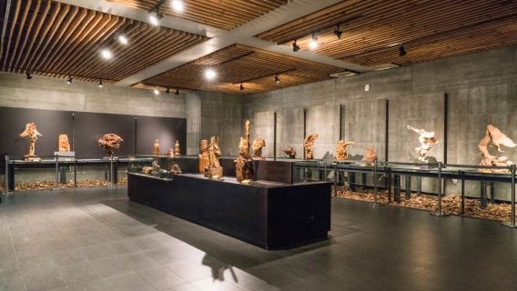 三義慢城古藝舊山線一日遊