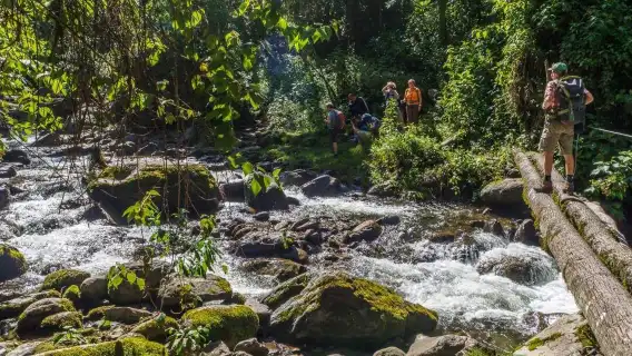清邁因他暖山徒步+帕辛寺+長康路夜市一日遊《中文專車服務》