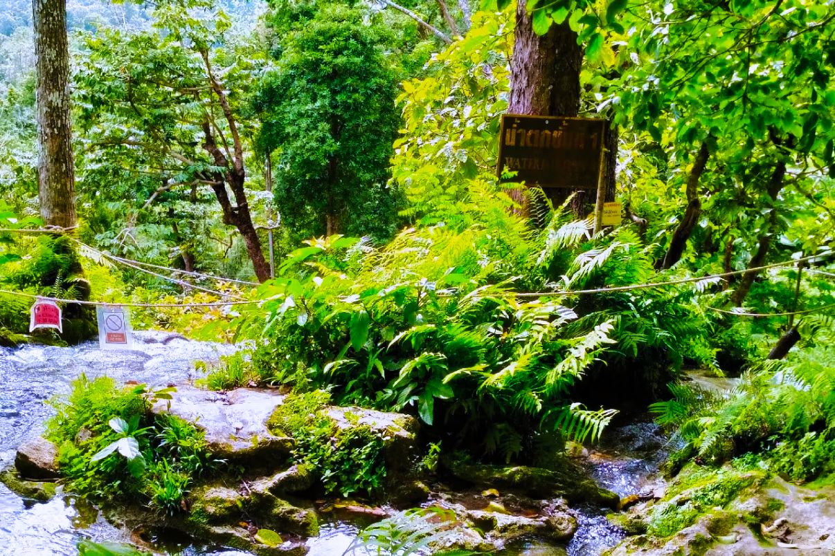 Chiang Mai Namtok Bua Tong-Nam Phu Chet Si National Park + Rong Suea Ten Temple Half-Day Tour [Morning/Afternoon Option]|Pick-up & drop-off at the hotel