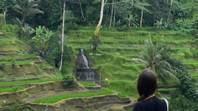 Lawatan Sehari Ubud di Bali [Tanah Lot - Tegalalang Rice Terrace - Ubud Palace & Pasar]