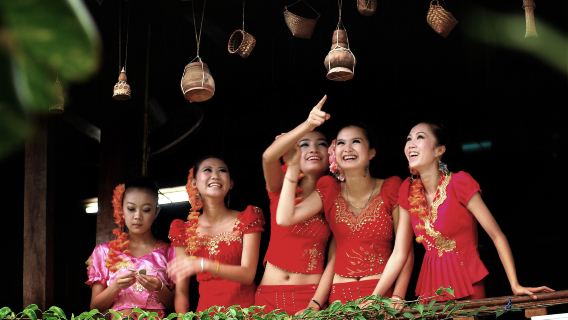 中科院西雙版納熱帶植物園+傣族園一日遊【6人內品質純玩】