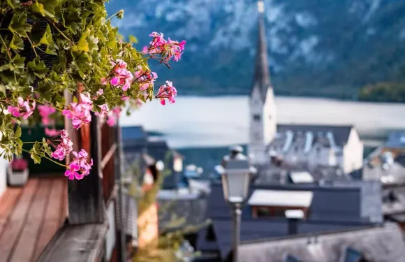 奧地利哈爾施塔特小鎮+高薩湖+富施爾湖【中文包車+私家定制】