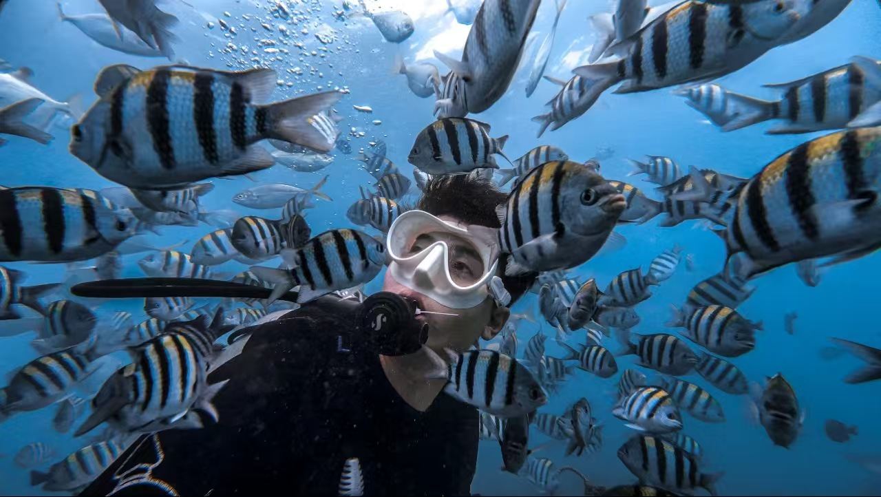 Dadonghai International Diving Club Experience: Scuba Diving/PADI Advanced Freediver 2-Hour Course [PADI Diving in Sanya Dadonghai]