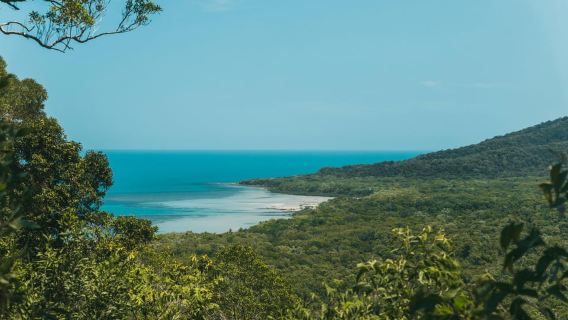 Cairns: Cape Tribulation & Daintree Rainforest Premium Tour