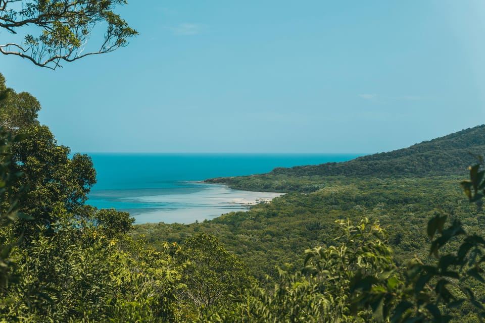 Cairns: Cape Tribulation & Daintree Rainforest Premium Tour