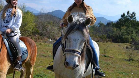 Alanya: Guided Horseback Riding