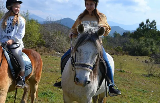 阿拉尼亞：導覽騎馬體驗
