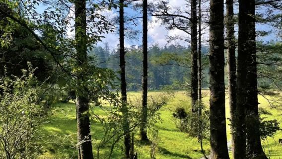 Kein Flug in die Schweiz nötig! In Lijiang können Sie schneebedeckte Berge, Wälder, versteckte smaragdgrüne Teiche, alte Städte und atemberaubende Sonnenuntergänge erleben.