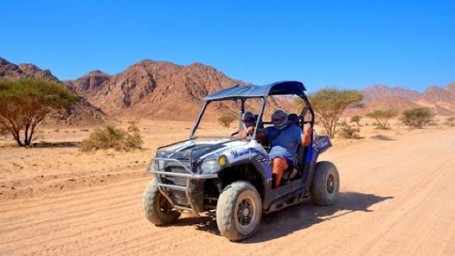Morning Sand Buggy Experience Plus Bedouin Tea Tasting in Sharm Desert