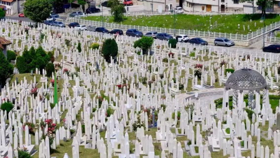 波黑境內/中文導遊/地陪導遊/展會翻譯/商務翻譯/溝通無障礙