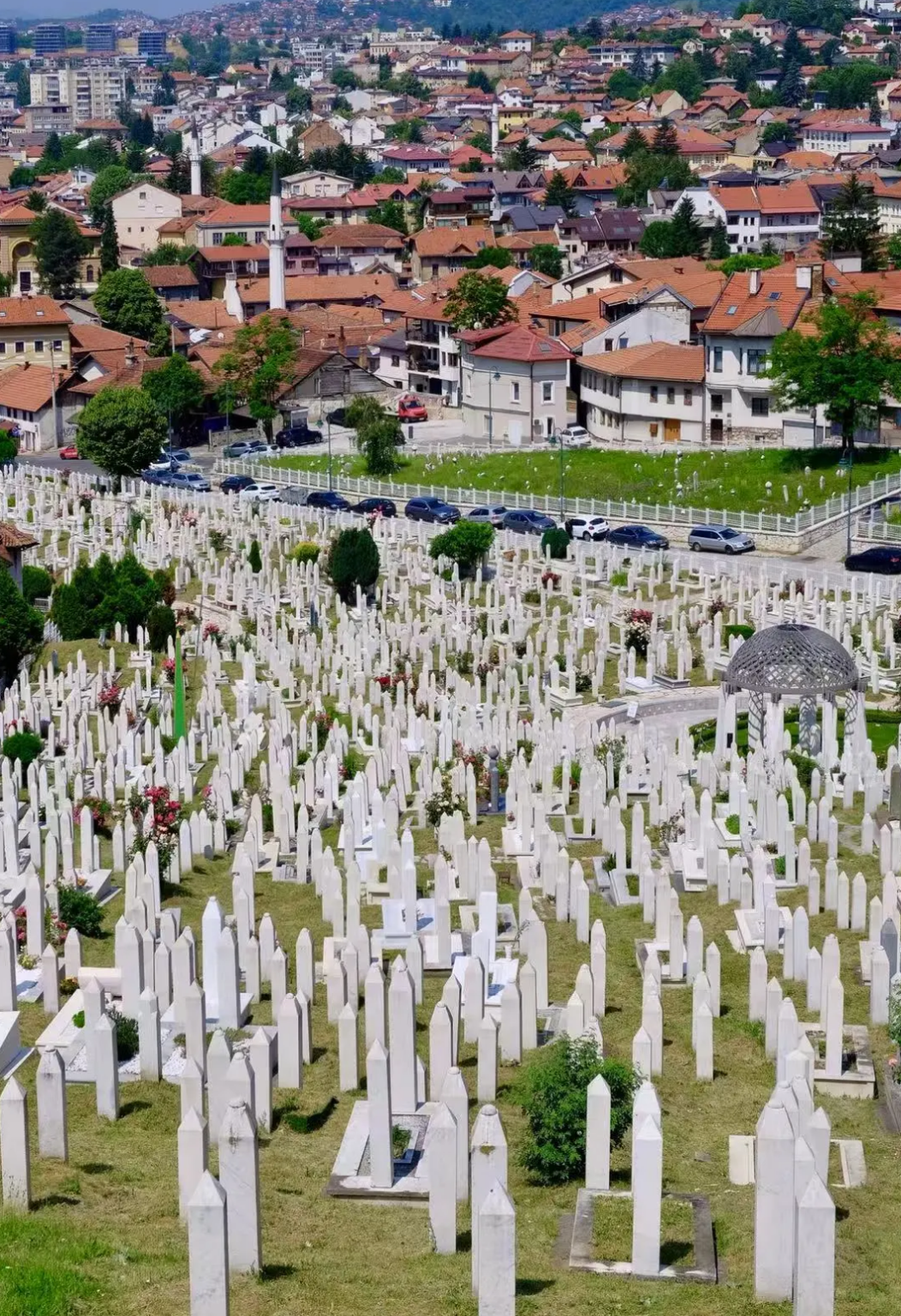 波黑境內/中文導遊/地陪導遊/展會翻譯/商務翻譯/溝通無障礙