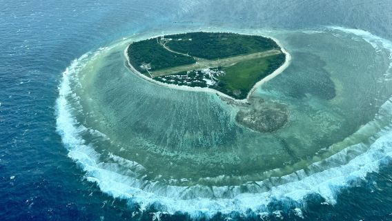 1-day tour to Lady Elliot Island Great Barrier Reef from Gold Coast or Brisbane, Australia