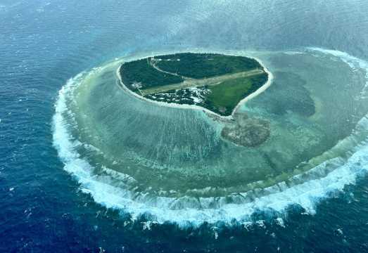 1-day tour to Lady Elliot Island Great Barrier Reef from Gold Coast or Brisbane, Australia AUD 647.16