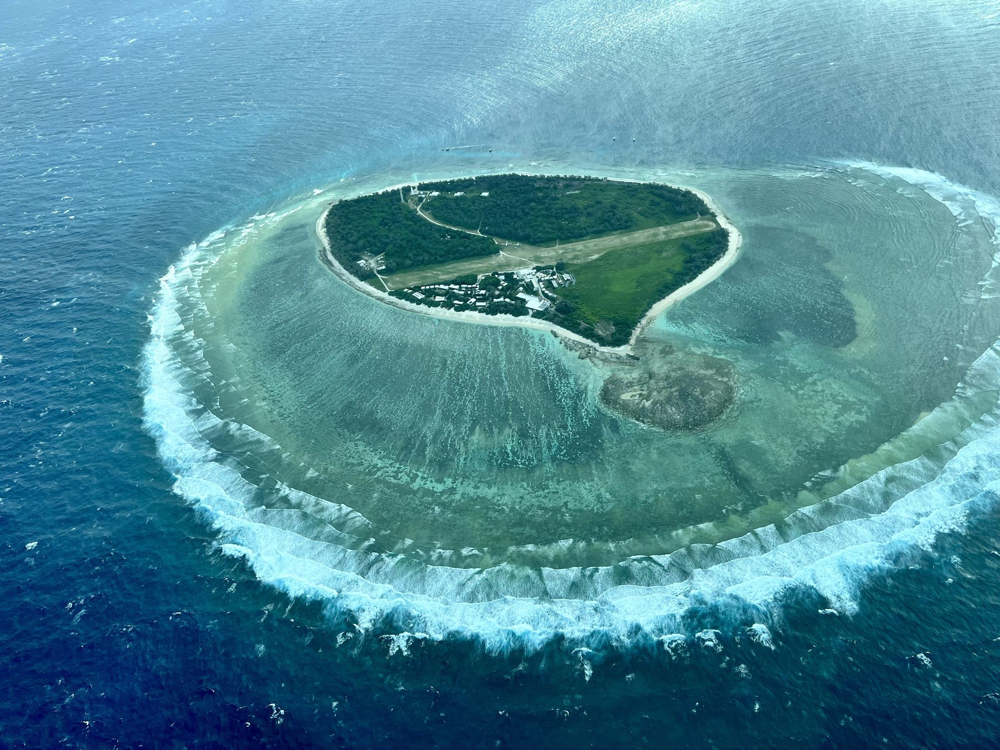 Excursión de un día a la Gran Barrera de Coral en la isla Lady Elliot desde Gold Coast o Brisbane, Australia