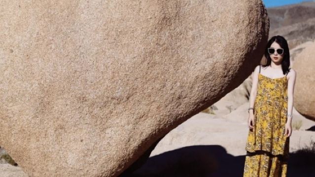 美國鳳凰城-來回約書亞樹國家公園-包車精選