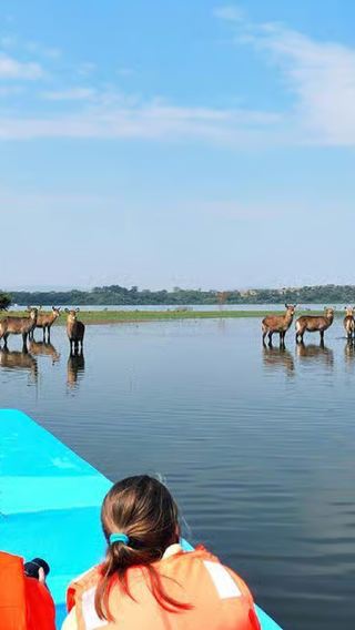 Nairobi to Lake Nakuru National Park + Lake Naivasha Cruise Day Tour