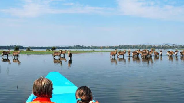 ケニア・ナイロビ発 レイク・ナクル国立公園+ナイヴァシャ湖遊覧船ワンデーツアー