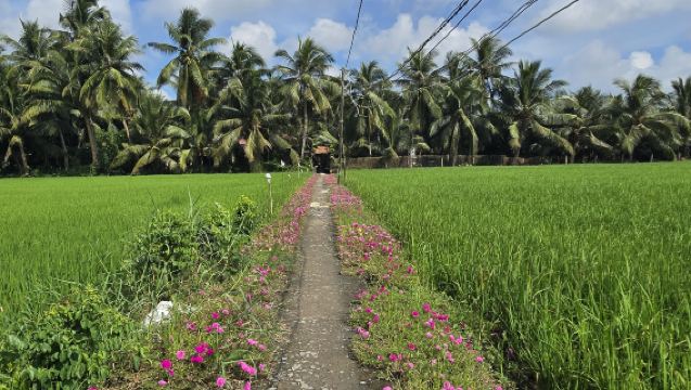 ทัวร์เชิงนิเวศตลอดวันที่สามเหลี่ยมปากแม่น้ำโขง: ตลาดท้องถิ่น คลาสทำอาหาร และล่องเรือ (กรุ๊ปทัวร์ขนาดเล็ก)