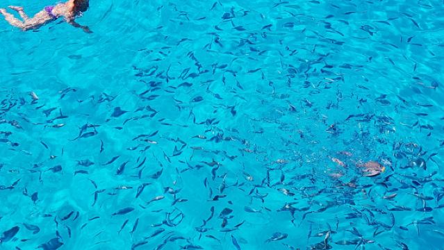 ปาร์กา ซีโวตา และบลูลากูน: ทัวร์เรือสำราญเต็มวันจากต้นทางคอร์ฟู