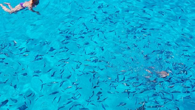 Parga, Syvota e Blue Lagoon: Crociera in barca di un'intera giornata da Corfù